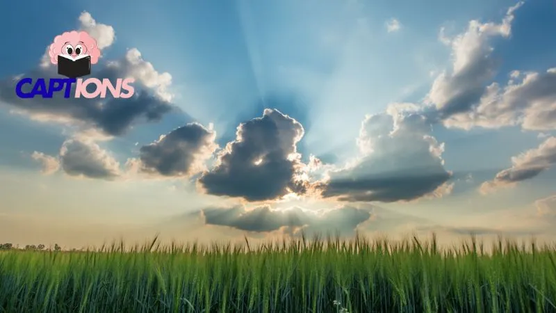 Blue Sky Quotes