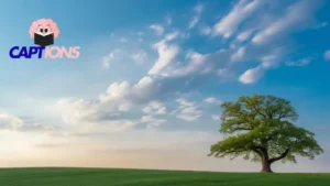 280+ Stunning Blue Sky Captions to Use on Instagram This Year